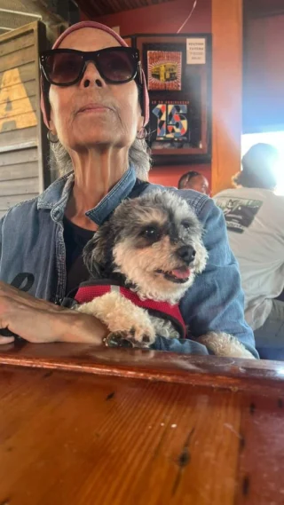 Station Tavern photo